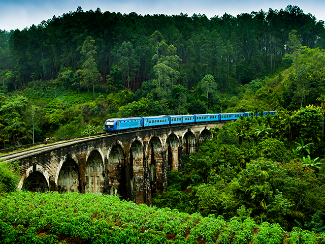 Dhesu Travel